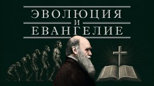 Эволюция и Евангелие | Алексей Прокопенко