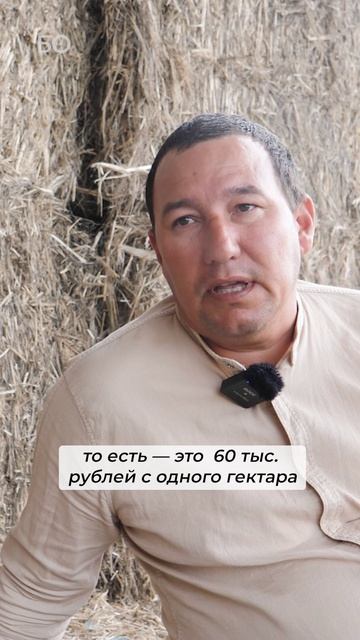 Как фермеры могут заработать на конопле #фермеры #заработок #конопля