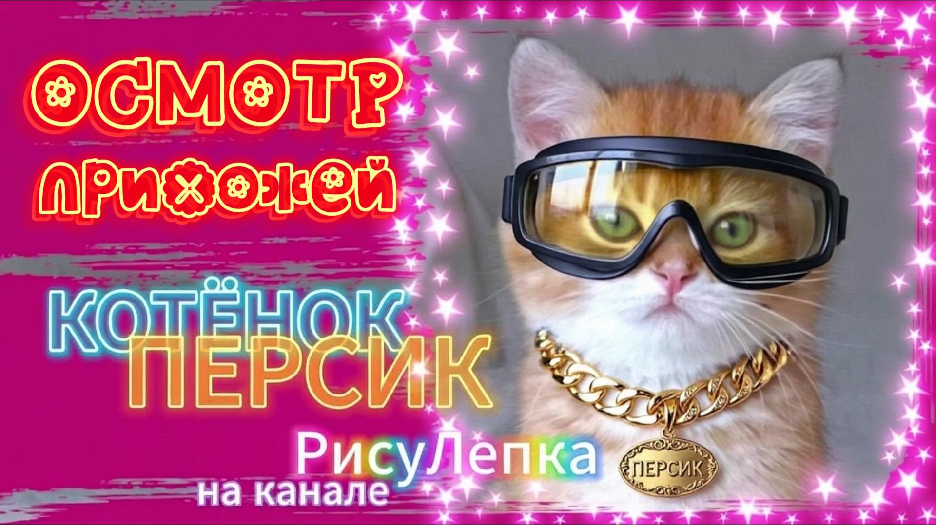 КОТЁНОК ПЕРСИК осмотр прихожей смотреть онлайн
