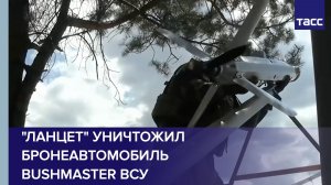 «Ланцет» уничтожил бронеавтомобиль Bushmaster ВСУ