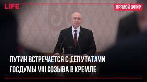 Путин встречается с депутатами Госдумы VIII созыва в Кремле