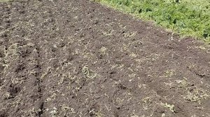 Домашние дела никогда не заканчиваются.