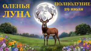 СПОКОЙСТВИЕ, ТОЛЬКО СПОКОЙСТВИЕ!