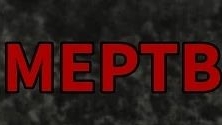 Мои друзья Костя и Ярик