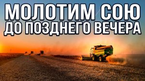 John Deere T660i «сдался» на СОЕ среди «ХЛОПКОВЫХ» зарослей - замена ремня по темноте!