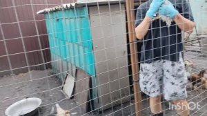 Съездили, купили, дочистили//как живут в русской деревне...
