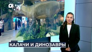 Дальний Восток на связи / Калачи и динозавры
