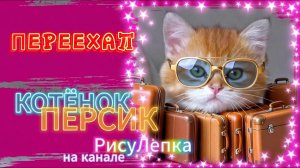 КОТЁНОК ПЕРСИК переехал