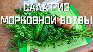 Салат из морковной ботвы с огурцами и яйцами рецепт как использовать морковную ботву