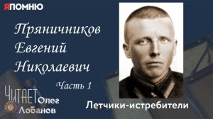 Пряничников Евгений Николаевич.  Часть 1. Проект «Я помню» Артема Драбкина. Летчики истребители.