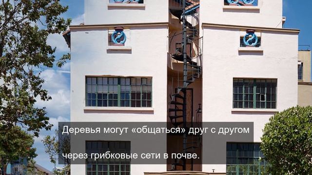 Прекрасная погода под этот трек 8 смотреть онлайн