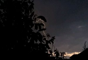 делаю обзор на кашу
