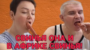 СВИНЬЯ ОНА И В АФРИКЕ СВИНЬЯ.  ПИРАТСКАЯ ЖИЗНЬ. ОБЗОР.