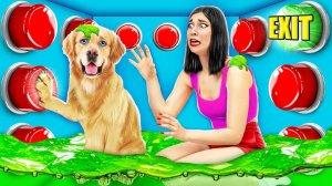 1000 загадочных кнопок и только одна тебя спасет Челлендж #3 от Multi DO Challenge