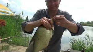 Ловля леща на фидер на пляже в городе. Семейная рыбалка- жена ловит а я нет.