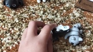 утро с 3д /новые 3д/кормежка /новый органайзер/тренеровка.