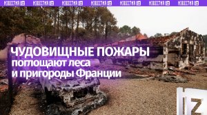 Адский пожар продолжает выжигать Францию: 1,5 тыс. военных пытаются справиться с огнем