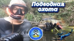 Подводная охота ДЕАФ река Десна 25.07.2026