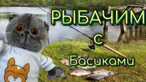 Басики рыбачат 🐠