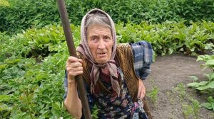 Анна Михайловна довольна.
