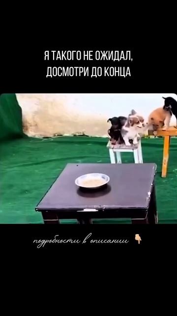 Лидерство - это 👇🏼