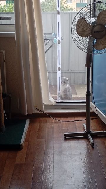 Что там, так и не поняли