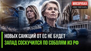 «Пакеты» у Европы закончились! Соболя из России победили Запад!