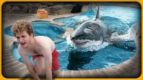 sharks in swimming pools смотреть онлайн