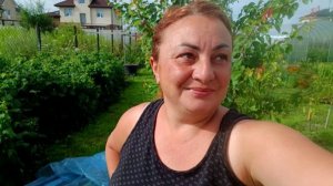 Омолаживаю Смородину / Жизнь в Доме Ремонт и Стройка / Влог /