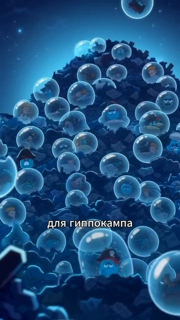 😴 Почему мозг стирает наши сны? Разбираемся вместе!