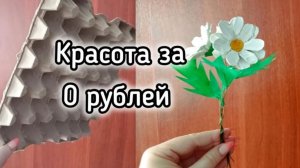 Ромашка из лотка для яиц