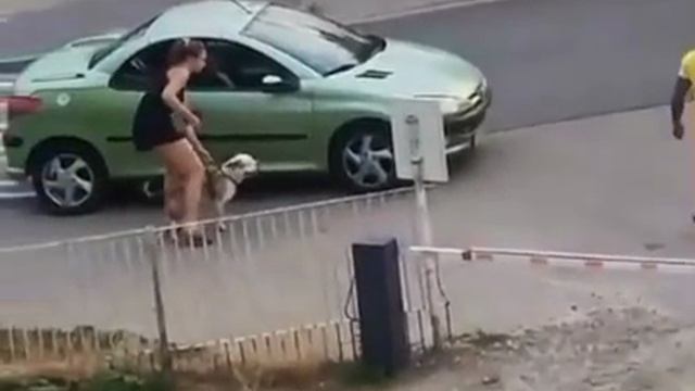 Три поляка избили прохожего за украинский акцент во Вроцлаве. В этот раз не обознались был украинец смотреть онлайн
