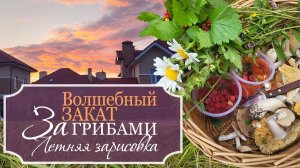 🌸Летние дневники: Красота вечернего заката - Опять за грибами - Летняя зарисовка