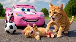 Мама-кошка подстригает шерсть на ферме и делает тигровую шапку для котят дома🐾🎩🐯