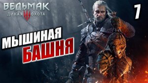 МЫШИНАЯ БАШНЯ | Ведьмак 3 / The Witcher 3: Wild Hunt | #7