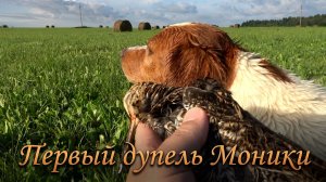 Первый дупель Моники | Охота с Эпаньоль Бретоном