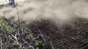 Работа по подсолнечнику !