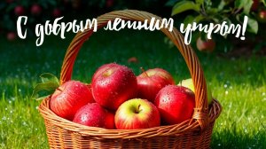 УТРЕННЯЯ ПОЧТА! СВЕТА НЕТ! ВАСЕВСКИЕ КЛЯНЧАТ НА ТЕЛЕФОН 😂😂😂