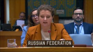 Statement by Chargé d’Affaires a.i. Anna Evstigneeva at a UNSC Briefing on Ukraine