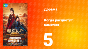 Когда расцветут камелии 5 серия