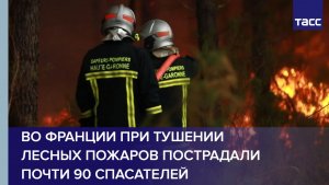 Во Франции при тушении лесных пожаров пострадали почти 90 спасателей