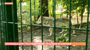 Ураган позади: Ростов  спасает свои парки и зоопарк