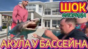 Лора Винтаж. 🛑Акула у Нашего Бассейна!Шок!