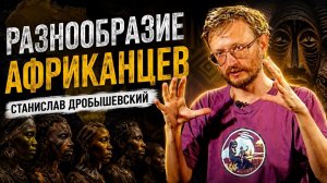 Разнообразие африканцев - расы Африки. Дробышевский