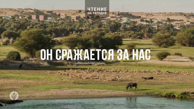 ОН СРАЖАЕТСЯ ЗА НАС  | АУДИО |	24	  августа 2026