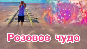 Бурсоль: Розовое озеро, по которому ходит ПОЕЗД