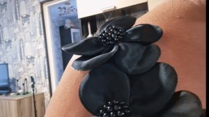 мои шикарные броши/Новомихайловский ориентиры для приезжих/Кот - злыдень😮
