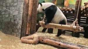 🐾 Жуи проснулась сегодня не с той лапы

Все мы в понедельник