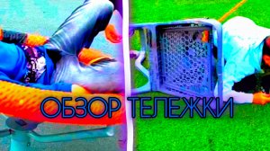 ВАСЯ ЖЁСТКО УПАЛ С ТЕЛЕЖКИ И Я ВПЕРВЫЕ ПОКАТАЛСЯ НА ЦЕНТРИФУГЕ!