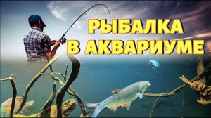 РЫБАЛКА В АКВАРИУМЕ